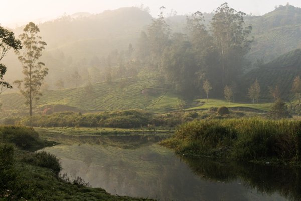 Индийская природа