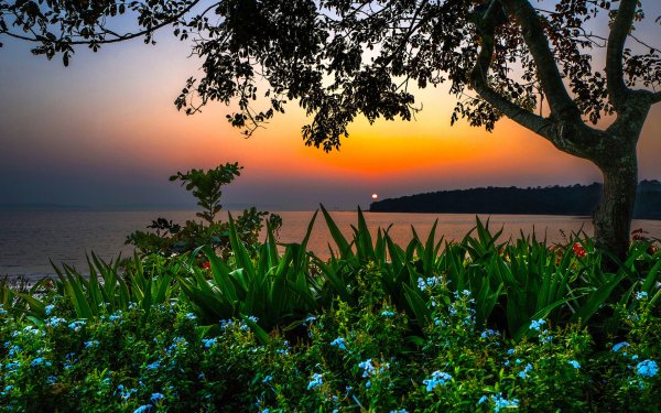 Индо-Гангская низменность природа