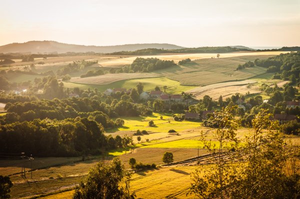 Джеймс мегер,живопись,природа