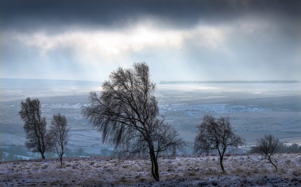 Холодный пейзаж