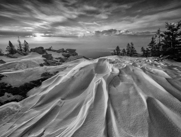 Пейзаж белые цвета