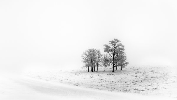 Снежное поле