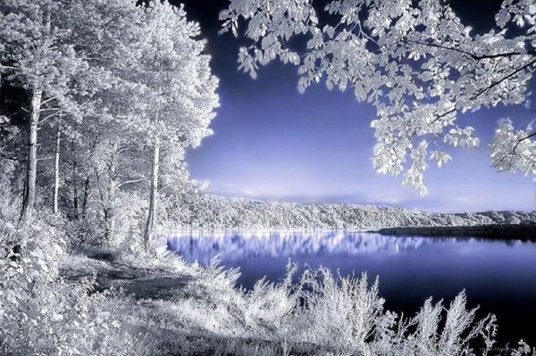 Зимние пейзажи мерцающие