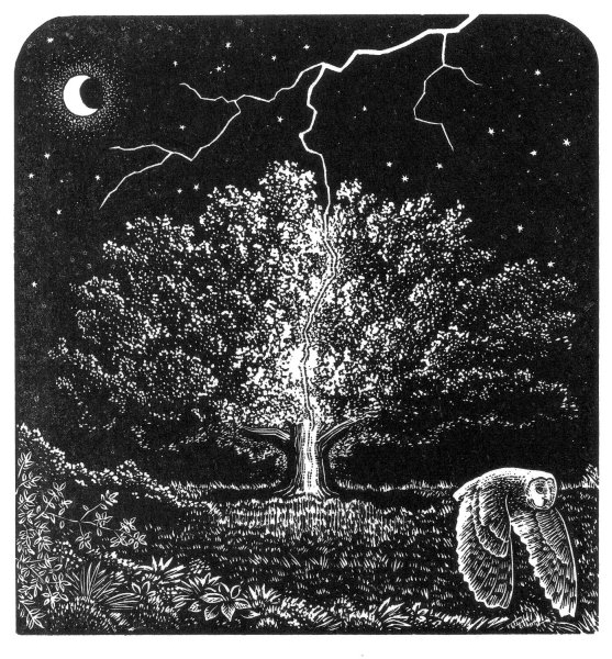 Граттаж заколдованный лес