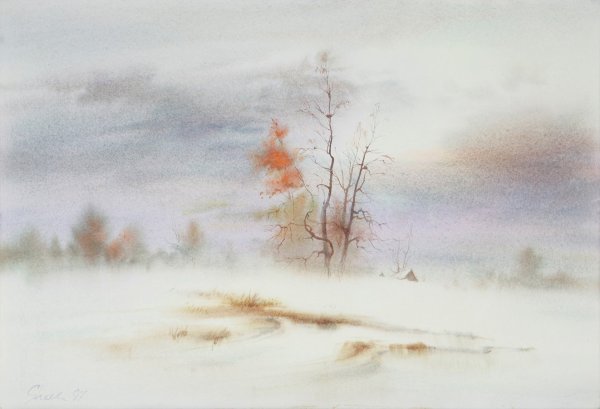 Зимний пейзаж по сырому