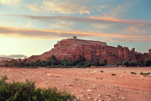 Марракеш природа