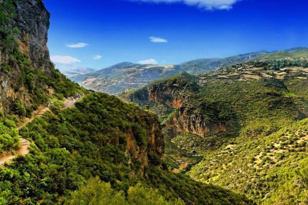 Марокко равнины Флора