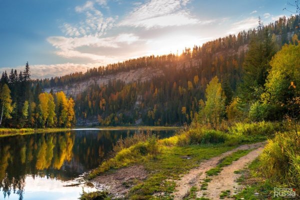 Природа река Койва Пермский край