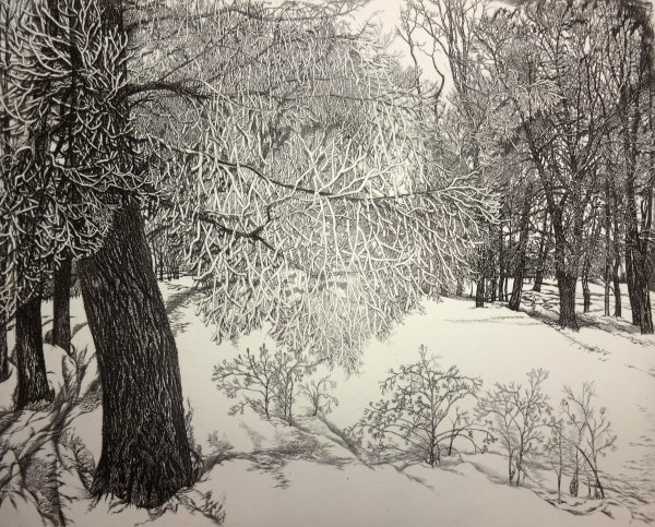 Зимний пейзаж карандашом для детей