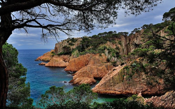 Природа Испании Кантабрия