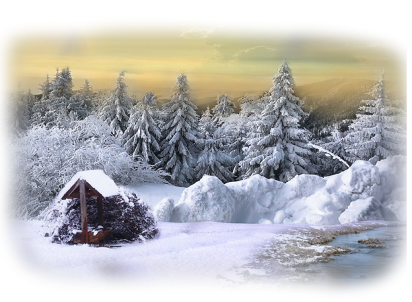 Фоторамка зимний лес