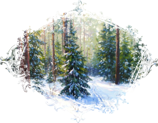 Заснеженный лес на прозрачном фоне