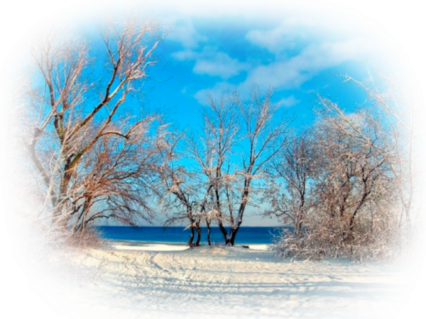 Зимняя природа на прозрачном фоне