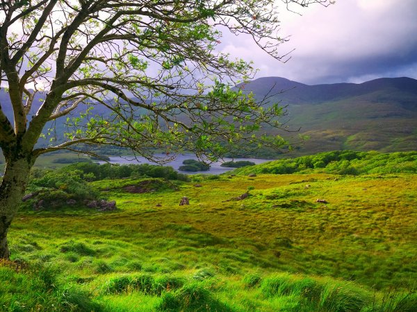 Кейдские поля Ирландия