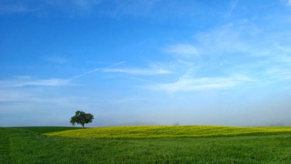 Небо Горизонт