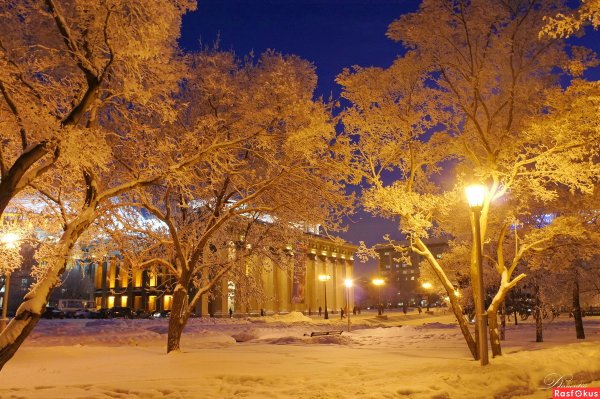Аллея НГТУ Новосибирск вечер зима