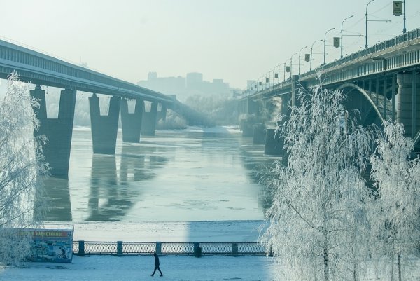 Природа Новосибирска зимой