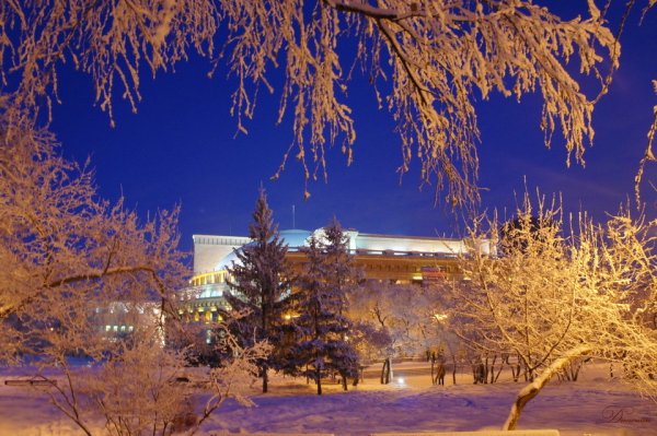 Центральный парк Новосибирск зимой