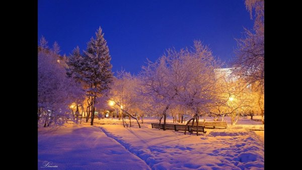 Зима река мост