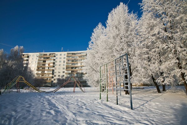 Аллея зимой