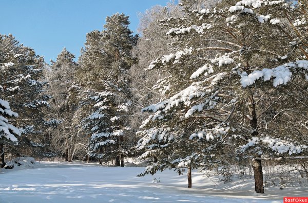Ночной зимний Новосибирск