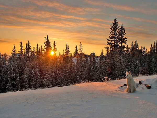 Якутия природа зима