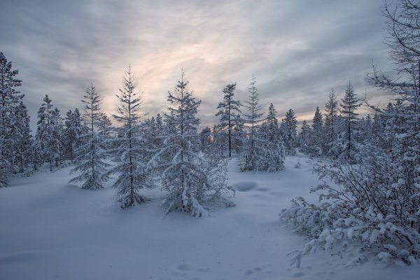 Якутия Нерюнгри зима