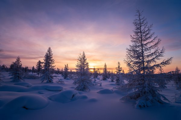 Пейзажи Якутии
