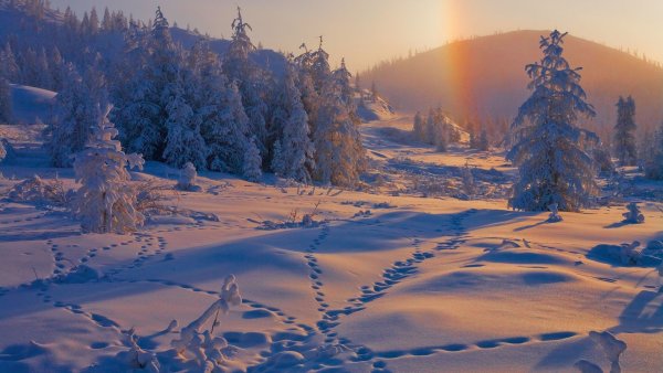 Радуга зимой