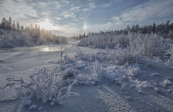 Евгения Левина Якутия
