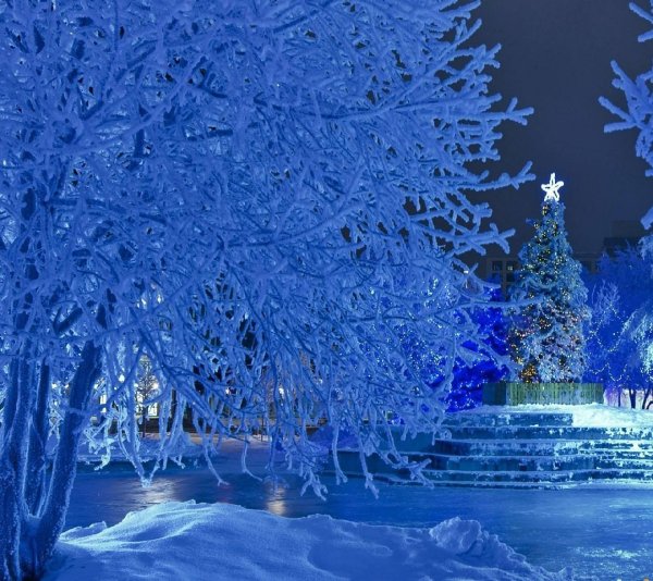 Зимняя природа