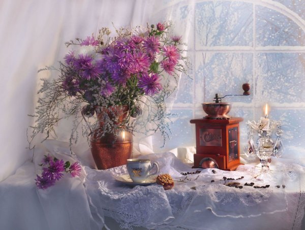 Рябина зимой