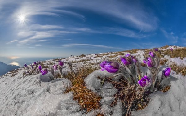 Февраль природа