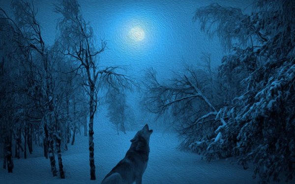Зимний лунный пейзаж