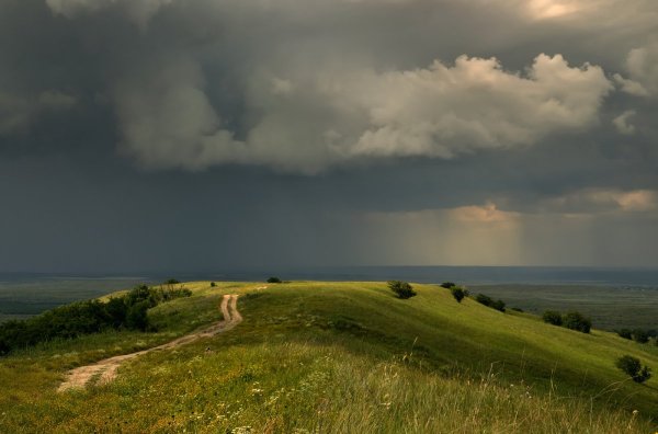 Перед грозой