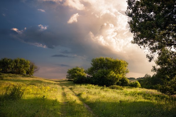 Природа перед грозой