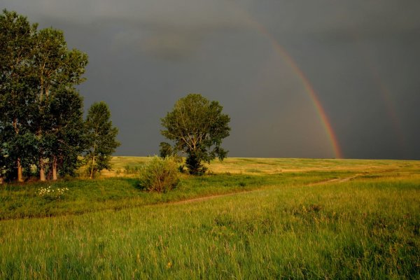 Природа перед грозой