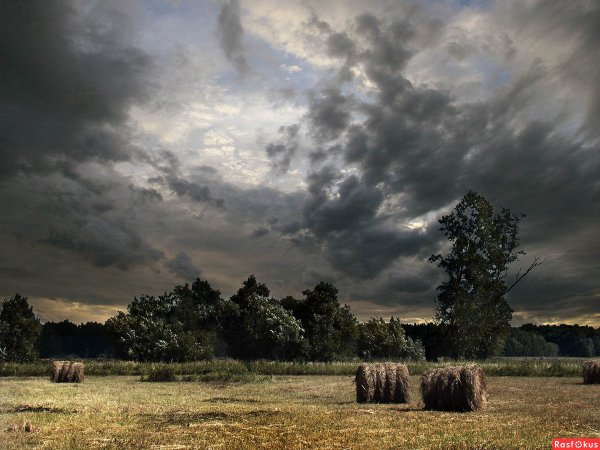 Перед грозой