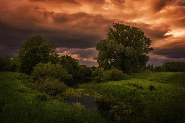 Затишье перед грозой