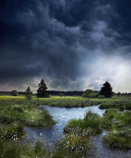 Природа перед грозой