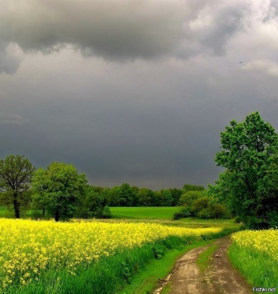 Природа перед грозой