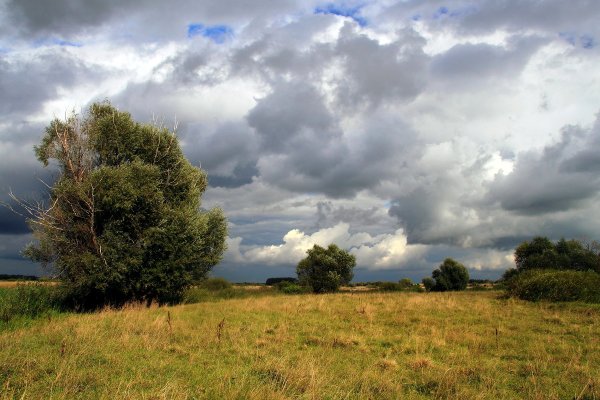 Пасмурный пейзаж