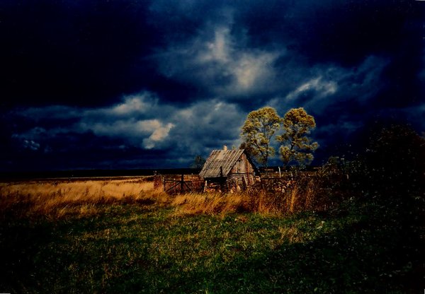Перед грозой в деревне