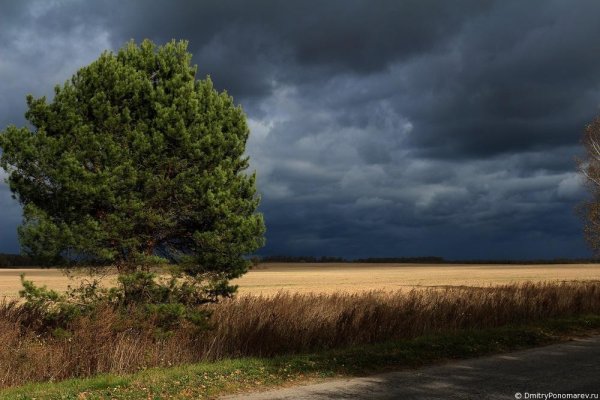 Затишье перед грозой в деревне