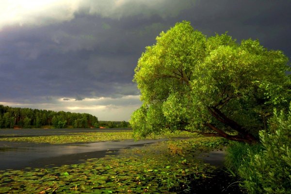 Природа перед грозой