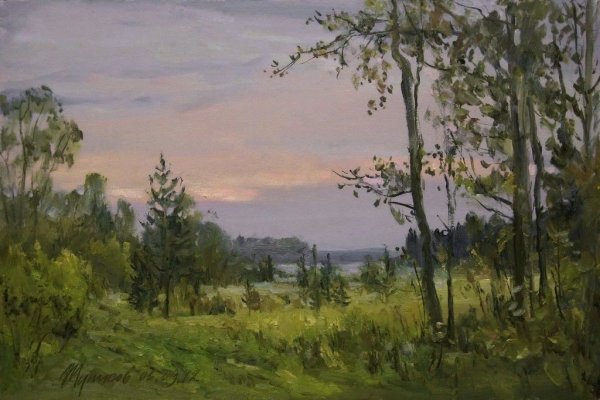 Художник Туписов Владимир