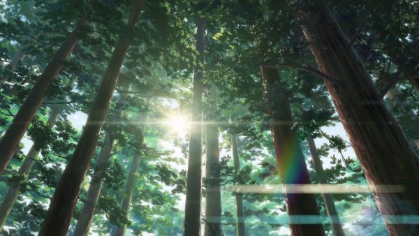 Твое имя природа