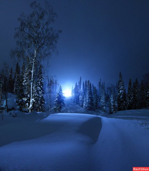 Зима ночь