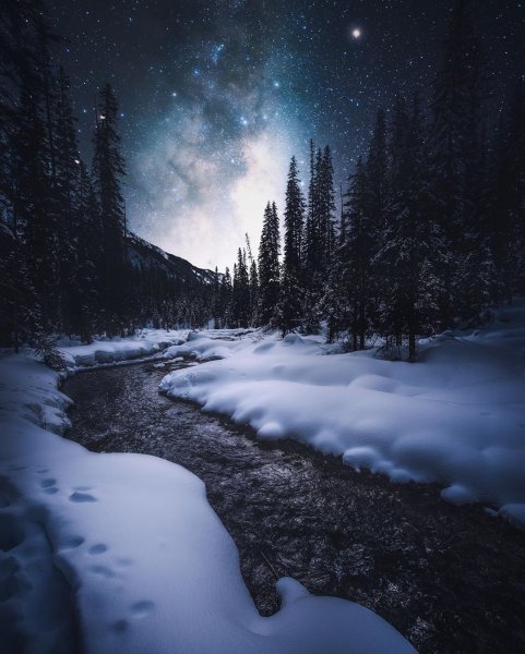 Сказочный зимний лес