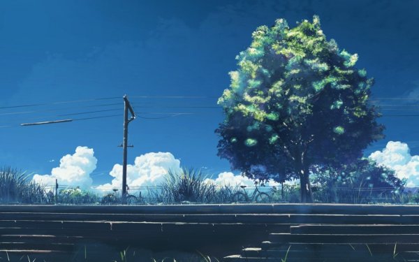 Аниме Макото Синкая